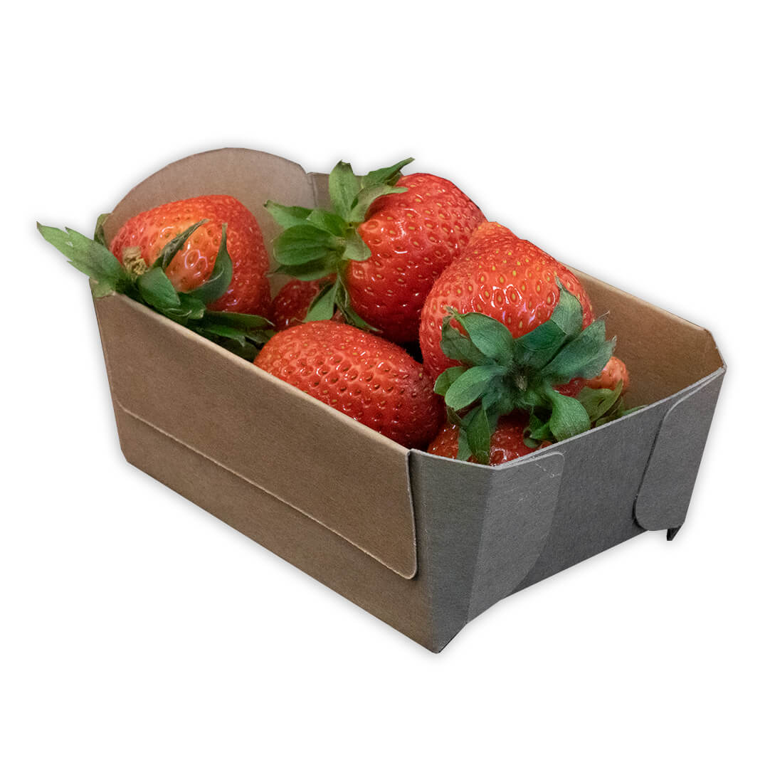 postzegel Bedreven Voorouder Duurzaam aardbeien bakje kopen van 100% gerecycled karton?