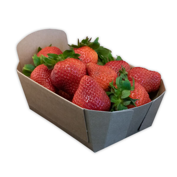 Fonkels Re-fruiter aardbeienbak 500 gram