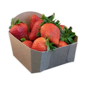 Re-Fruiter Tray Aardbeien bakje 400 gram