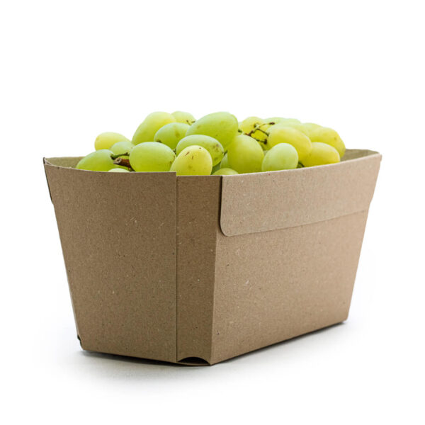 Fruitbak 1000 gram karton druiven