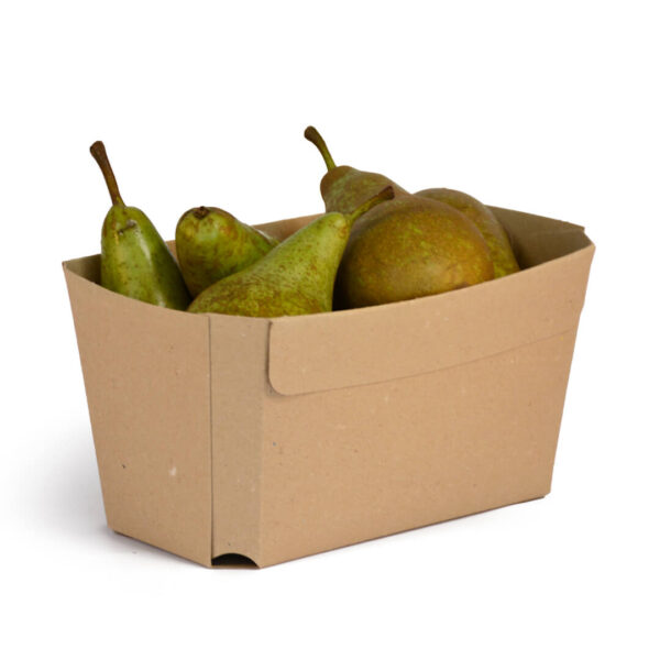Fruitbak 1000 gram karton peren