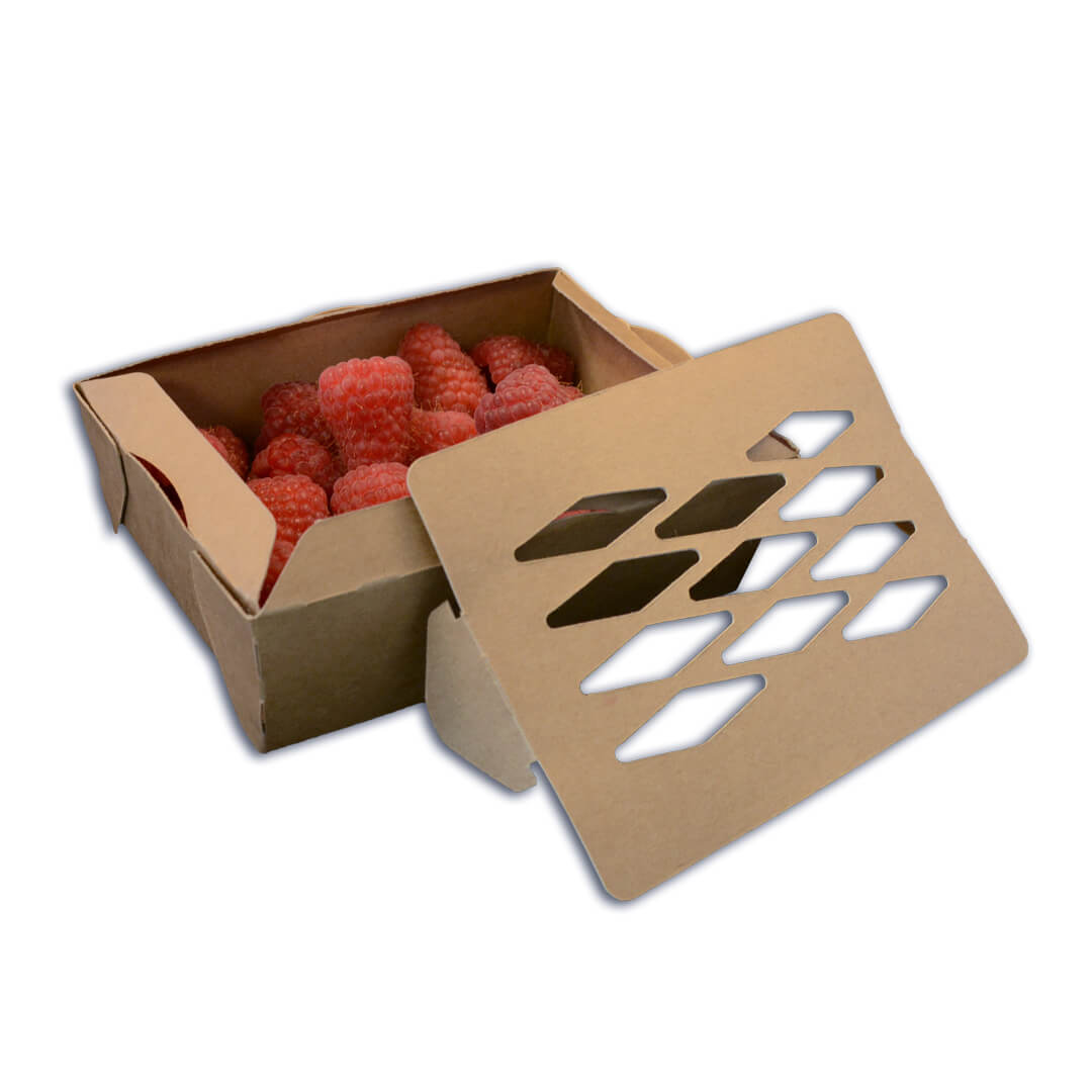 Bessen bakje losse deksel 150g framboos