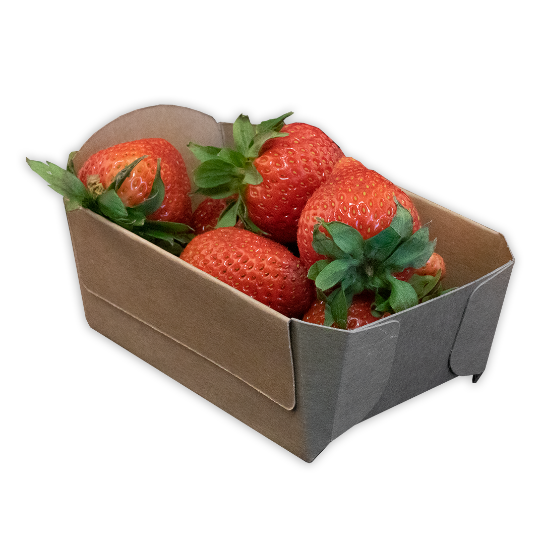 Fonkels Re-fruiter aardbeienbak 250 gram