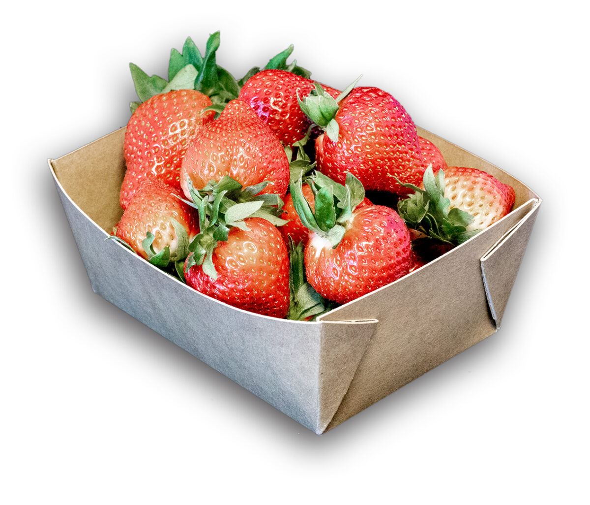 kersen-bakje-fonkels