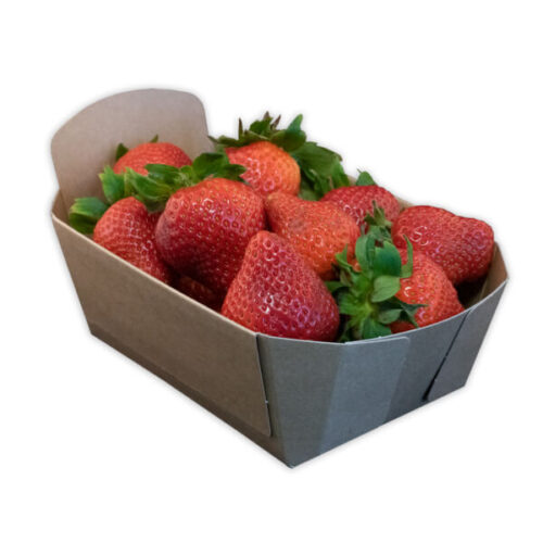 Re-Fruiter-Tray-Aardbeien-bakje-500-gram Fonkels Re-fruiter aardbeienbak 500 gram