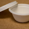 sauscup-bagasse