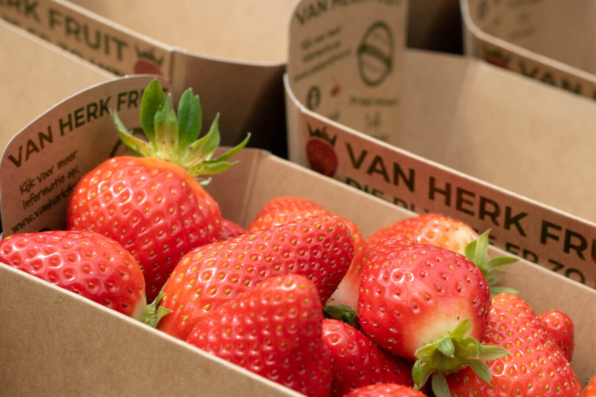 aardbeienbakje-fonkels-500gram