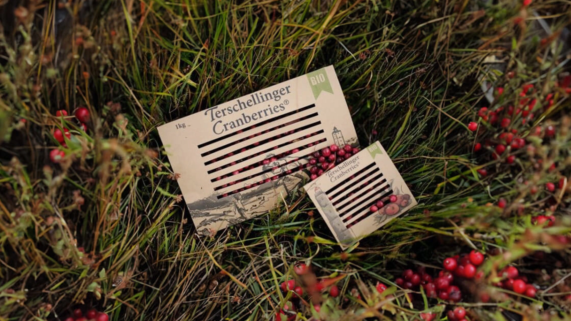 Terschellinger Cranberries sleeve met lock